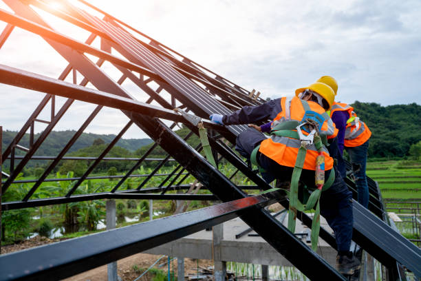 Best Commercial Roofing Services  in Rolla, ND