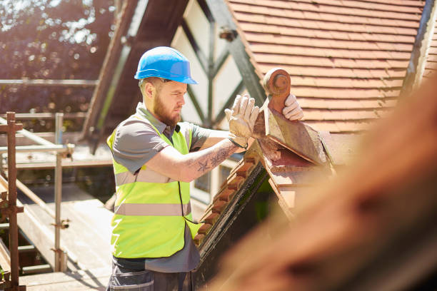 Best Roof Repair Services  in Rolla, ND